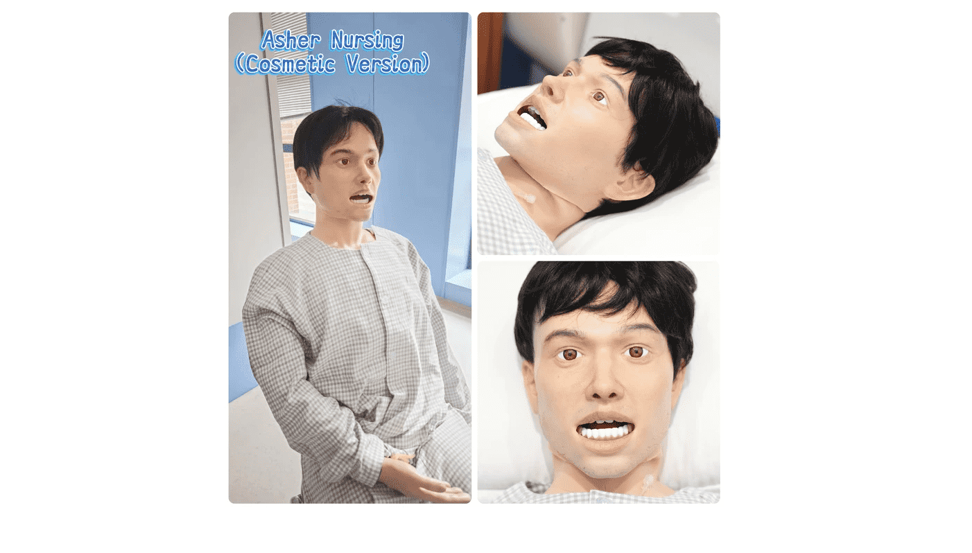Althea Nursing/Silver Althea Nursing/Asher Nursing